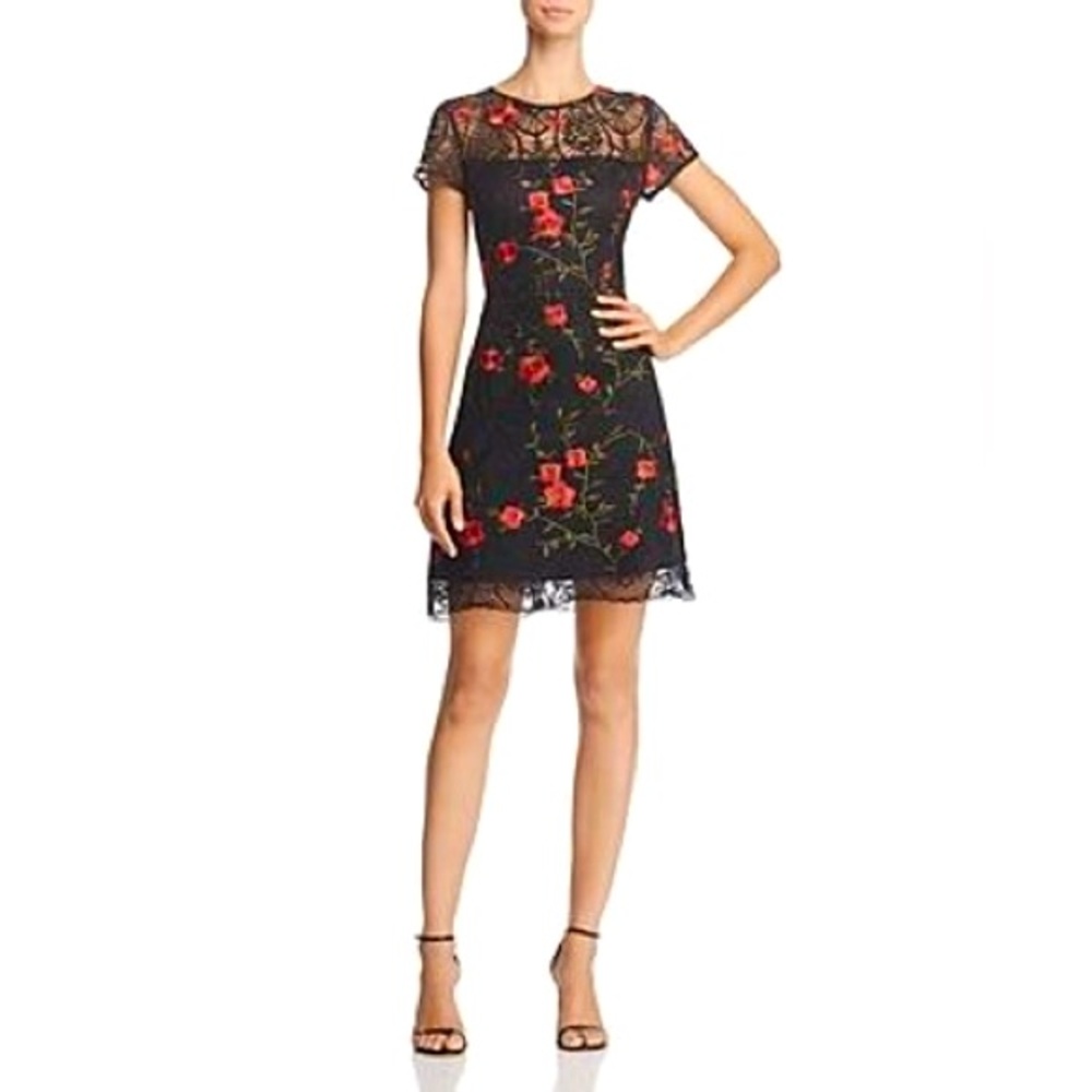 Lucy Paris, Amanda Floral Embroidered Lace Dress